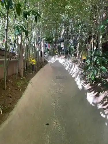 來宮神社(静岡県)