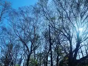釧路一之宮 厳島神社の自然(2020年05月25日(月) 21時55分39秒投稿)