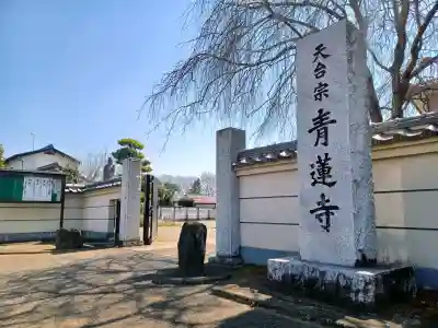 青蓮寺の{uncategorized: "未分類", other: "その他", undefined: "問題あり", building: "その他建物", grave: "お墓", sacred_gate: "鳥居", guardian: "狛犬", statue: "像", buddha: "仏像", history: "歴史", nature: "自然", garden: "庭園", animal: "動物", pagoda: "塔", temizu: "手水舎", mountain_gate: "山門・神門", sanctuary: "本殿・本堂", subordinate: "末社・摂社", art: "芸術", scenery: "景色", jizo: "地蔵", ema: "絵馬", goshuin: "御朱印", omikuji: "おみくじ", items: "授与品その他", amulet: "お守り", goshuincho: "御朱印帳", eats: "食事", festival: "お祭り", votive_dance: "神楽", shichigosan: "七五三参", wedding: "結婚式", experience: "体験その他", initially: "初詣", around: "周辺", anti_infection: "感染症対策"}