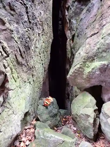 磯山弁財天の自然