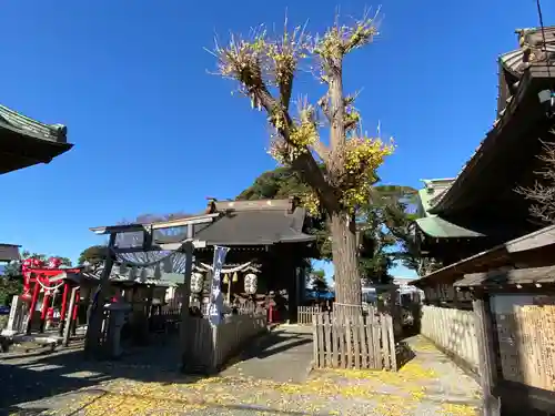 八坂神社(神奈川県)