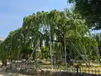 清瀧院の{uncategorized: "未分類", other: "その他", undefined: "問題あり", building: "その他建物", grave: "お墓", sacred_gate: "鳥居", guardian: "狛犬", statue: "像", buddha: "仏像", history: "歴史", nature: "自然", garden: "庭園", animal: "動物", pagoda: "塔", temizu: "手水舎", mountain_gate: "山門・神門", sanctuary: "本殿・本堂", subordinate: "末社・摂社", art: "芸術", scenery: "景色", jizo: "地蔵", ema: "絵馬", goshuin: "御朱印", omikuji: "おみくじ", items: "授与品その他", amulet: "お守り", goshuincho: "御朱印帳", eats: "食事", festival: "お祭り", votive_dance: "神楽", shichigosan: "七五三参", wedding: "結婚式", experience: "体験その他", initially: "初詣", around: "周辺", anti_infection: "感染症対策"}