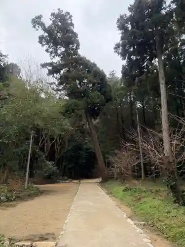 桜井大神宮の{uncategorized: "未分類", other: "その他", undefined: "問題あり", building: "その他建物", grave: "お墓", sacred_gate: "鳥居", guardian: "狛犬", statue: "像", buddha: "仏像", history: "歴史", nature: "自然", garden: "庭園", animal: "動物", pagoda: "塔", temizu: "手水舎", mountain_gate: "山門・神門", sanctuary: "本殿・本堂", subordinate: "末社・摂社", art: "芸術", scenery: "景色", jizo: "地蔵", ema: "絵馬", goshuin: "御朱印", omikuji: "おみくじ", items: "授与品その他", amulet: "お守り", goshuincho: "御朱印帳", eats: "食事", festival: "お祭り", votive_dance: "神楽", shichigosan: "七五三参", wedding: "結婚式", experience: "体験その他", initially: "初詣", around: "周辺", anti_infection: "感染症対策"}