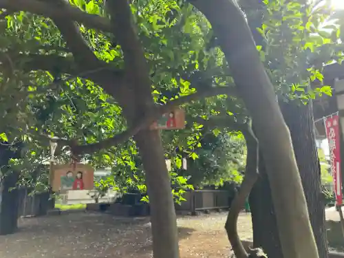天照神社(千葉県)