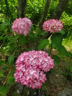 石都々古和気神社(福島県)