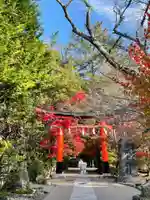 宇治上神社(京都府)