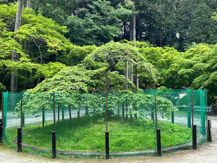 大原野神社(京都府)