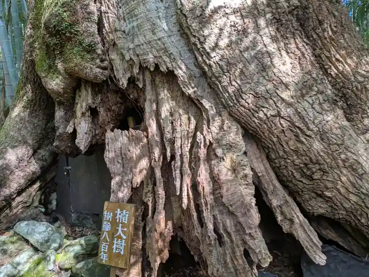 熊野那智大社(和歌山県)