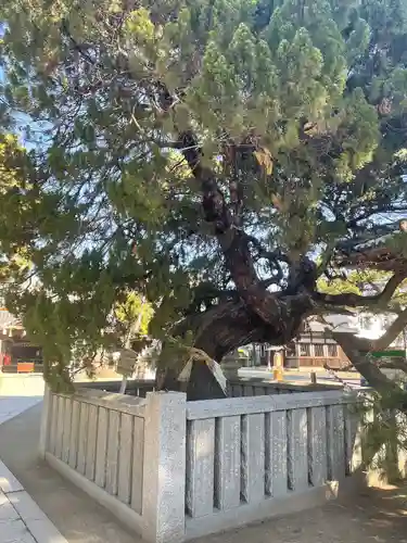 高砂神社の庭園