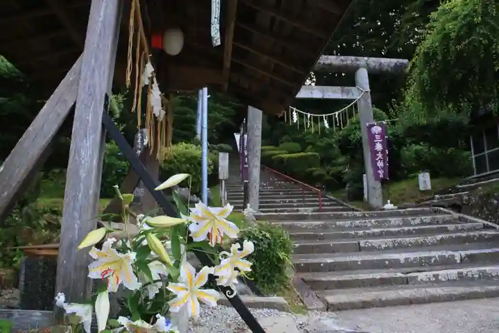 三春大神宮の鳥居