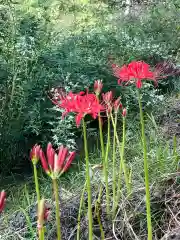 国宝 大法寺の自然