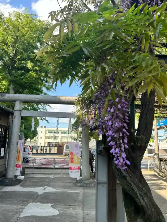 國領神社(東京都)