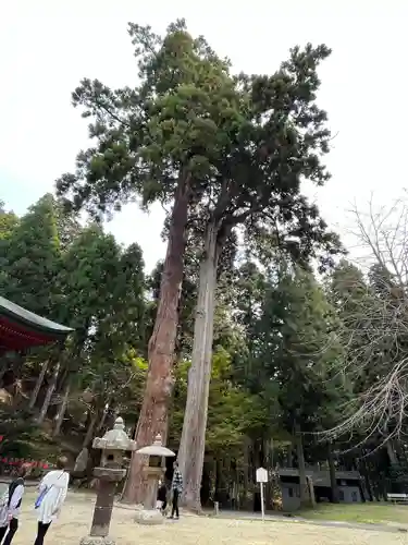 比叡山延暦寺(滋賀県)