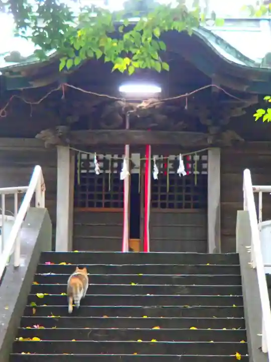 岩槻愛宕神社の動物