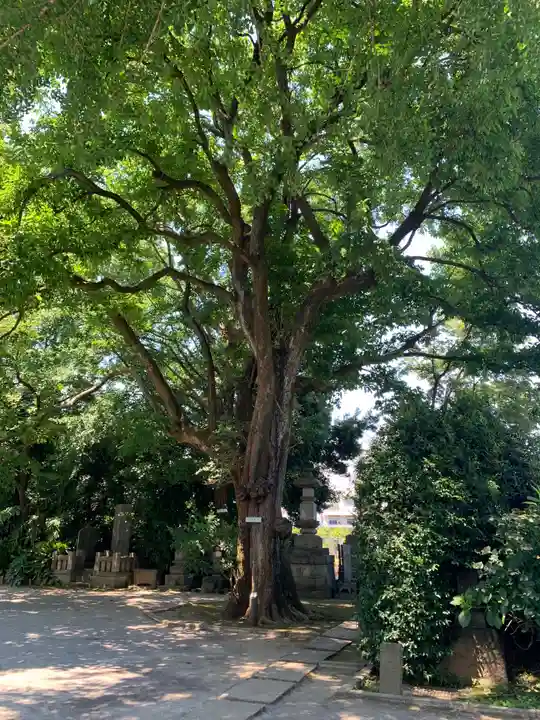 最勝寺教学院の自然