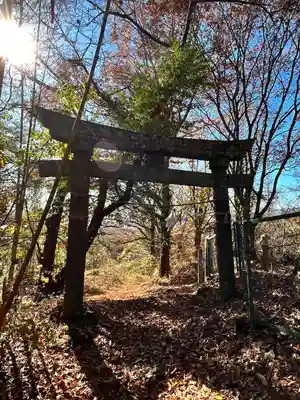 菱野健功神社(長野県)