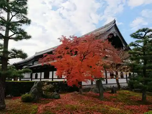 東福禅寺（東福寺）の本殿・本堂