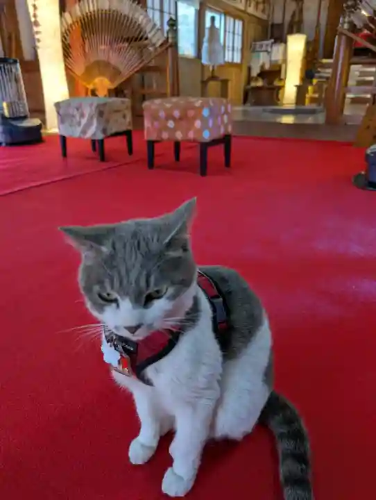 正一位 若草稲荷神社の{uncategorized: "未分類", other: "その他", undefined: "問題あり", building: "その他建物", grave: "お墓", sacred_gate: "鳥居", guardian: "狛犬", statue: "像", buddha: "仏像", history: "歴史", nature: "自然", garden: "庭園", animal: "動物", pagoda: "塔", temizu: "手水舎", mountain_gate: "山門・神門", sanctuary: "本殿・本堂", subordinate: "末社・摂社", art: "芸術", scenery: "景色", jizo: "地蔵", ema: "絵馬", goshuin: "御朱印", omikuji: "おみくじ", items: "授与品その他", amulet: "お守り", goshuincho: "御朱印帳", eats: "食事", festival: "お祭り", votive_dance: "神楽", shichigosan: "七五三参", wedding: "結婚式", experience: "体験その他", initially: "初詣", around: "周辺", anti_infection: "感染症対策"}