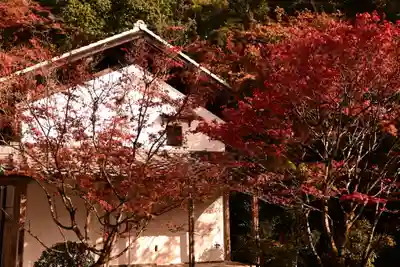 西明寺(京都府)