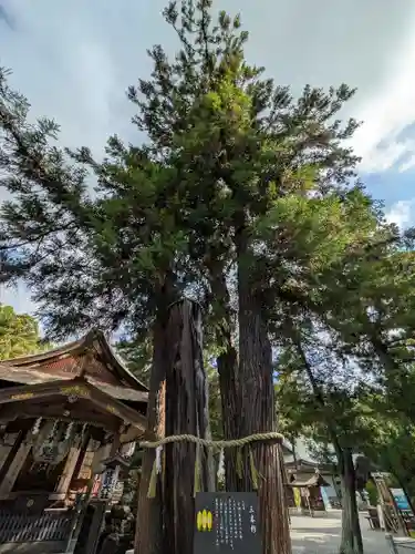 建部大社(滋賀県)