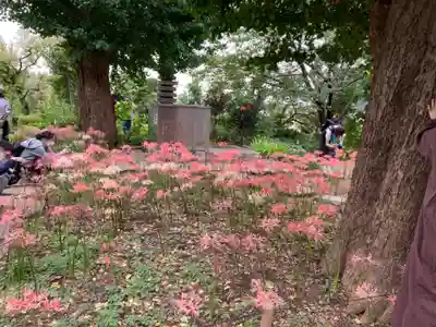 横浜　西方寺(神奈川県)