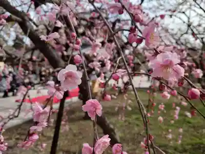 北野天満宮(京都府)