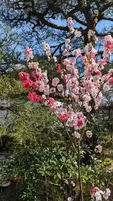 轉法輪寺(京都府)