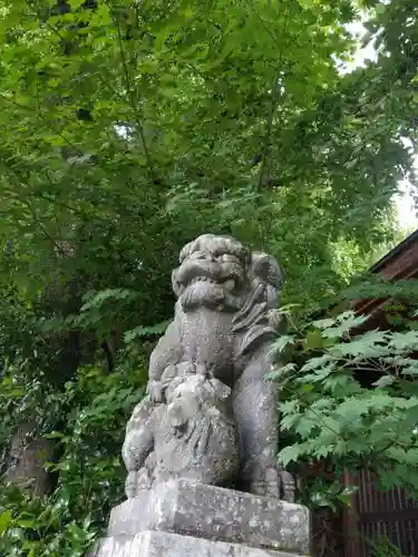 大正寺(中野不動尊)の狛犬