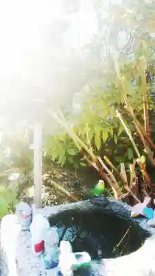 宗龍寺の手水舎