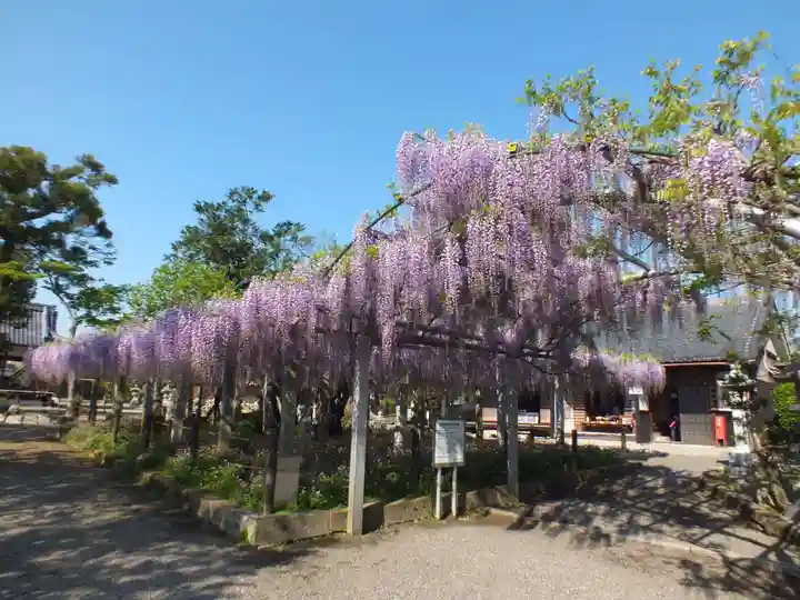 三大神社のその他建物