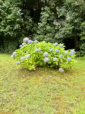 橿原神宮(奈良県)