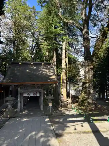 諏訪大社(長野県)