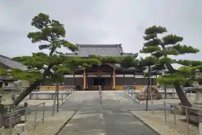 観音寺の本殿・本堂