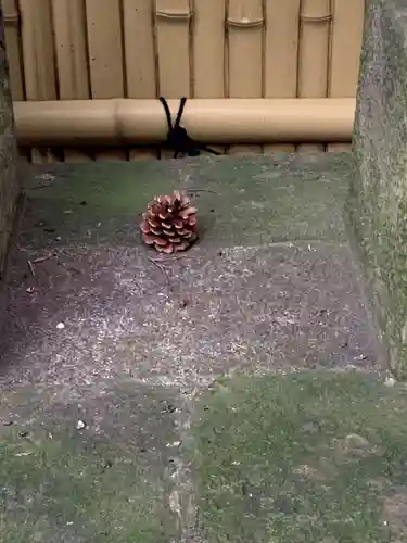 東新町氷川神社(東京都)