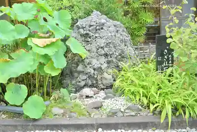 千鳥ヶ淵戦没者墓苑(東京都)