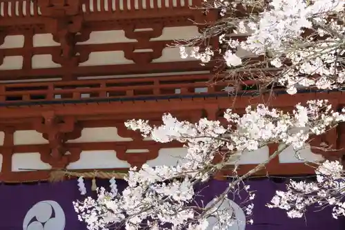 丹生都比売神社の建物その他