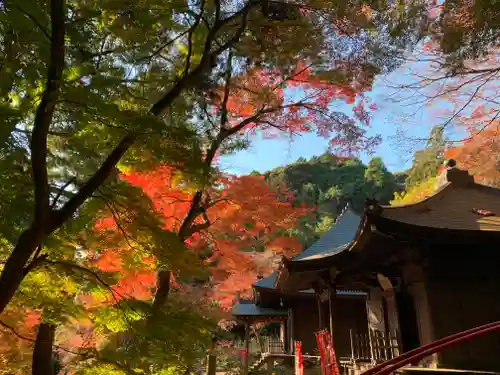 普門寺(切り絵御朱印発祥の寺)(愛知県)