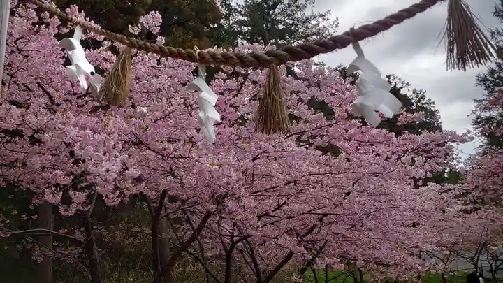 矢奈比賣神社(見付天神)(静岡県)