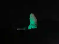 大船観音寺(神奈川県)