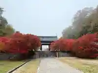 光信寺の山門・神門