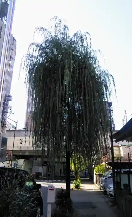 柳森神社の自然