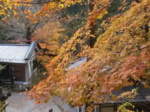 橋立堂の景色