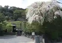 善法律寺(京都府)