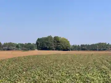 稲荷神社(千葉県)