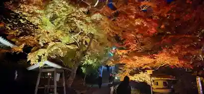 宝蔵寺(福島県)