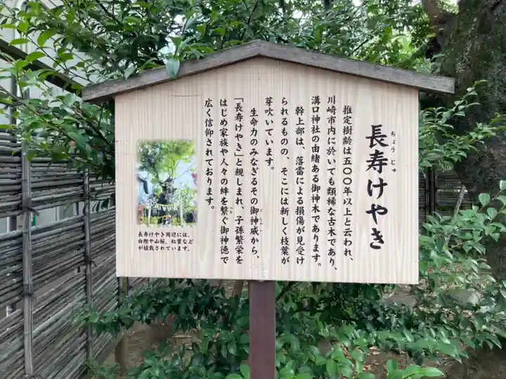 溝口神社(神奈川県)