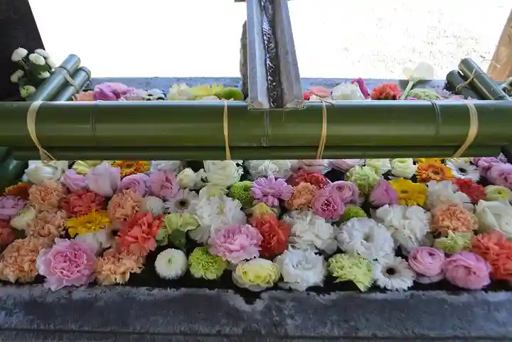 草加神社(埼玉県)