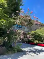 桜神宮(東京都)