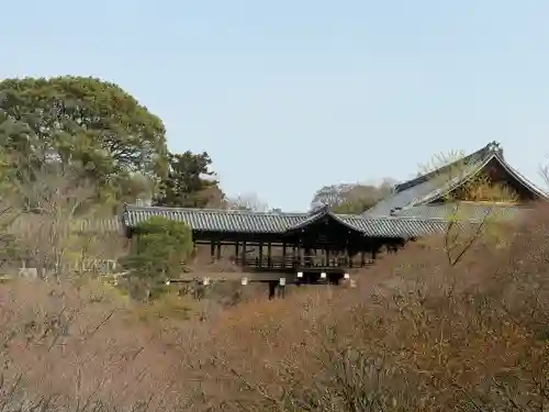 東福禅寺（東福寺）の{uncategorized: "未分類", other: "その他", undefined: "問題あり", building: "その他建物", grave: "お墓", sacred_gate: "鳥居", guardian: "狛犬", statue: "像", buddha: "仏像", history: "歴史", nature: "自然", garden: "庭園", animal: "動物", pagoda: "塔", temizu: "手水舎", mountain_gate: "山門・神門", sanctuary: "本殿・本堂", subordinate: "末社・摂社", art: "芸術", scenery: "景色", jizo: "地蔵", ema: "絵馬", goshuin: "御朱印", omikuji: "おみくじ", items: "授与品その他", amulet: "お守り", goshuincho: "御朱印帳", eats: "食事", festival: "お祭り", votive_dance: "神楽", shichigosan: "七五三参", wedding: "結婚式", experience: "体験その他", initially: "初詣", around: "周辺", anti_infection: "感染症対策"}
