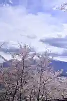 新倉富士浅間神社(山梨県)